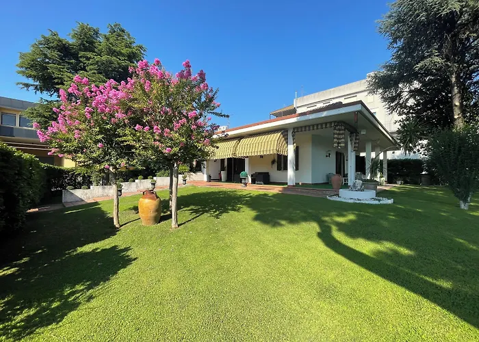 Vitti's Home Verona